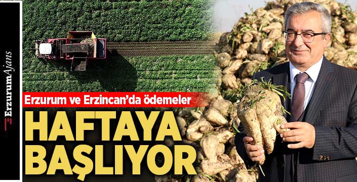 Sukkar Şeker'den pancar üreticisine destek