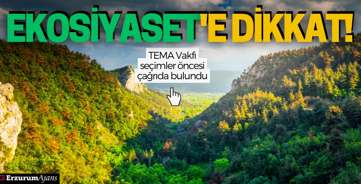 TEMA: Siyasette ekoloji temelli yaklaşım odağa alınsın 