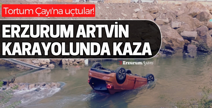 Tortum Çayı'na araç uçtu, 4 kişi yaralandı