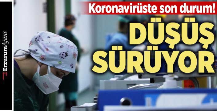 Türkiye'nin son 24 saatlik korona verileri 