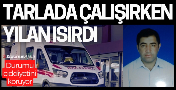 Vatandaşı tarlada yılan ısırdı