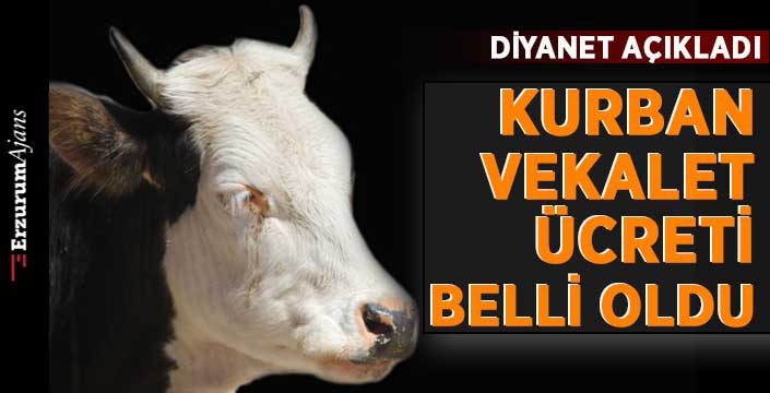 Vekaletle kurban kesim bedeli belirlendi