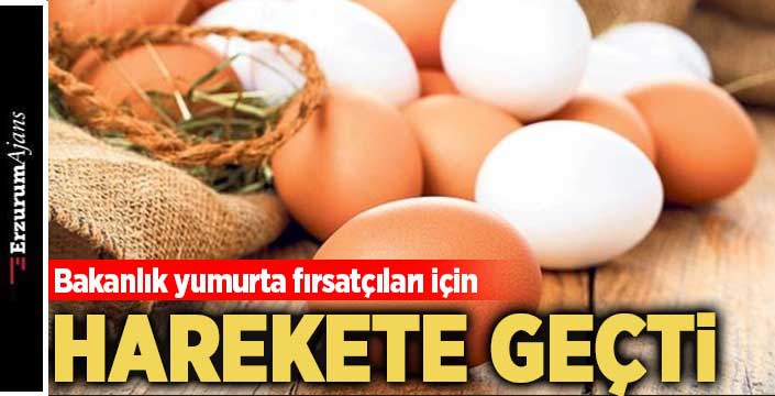 Yumurta işletmelerine KDV indirimi teftişi!